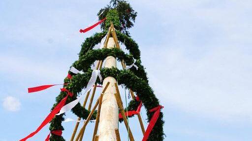 Maibaumaufstellen in Leopoldskron