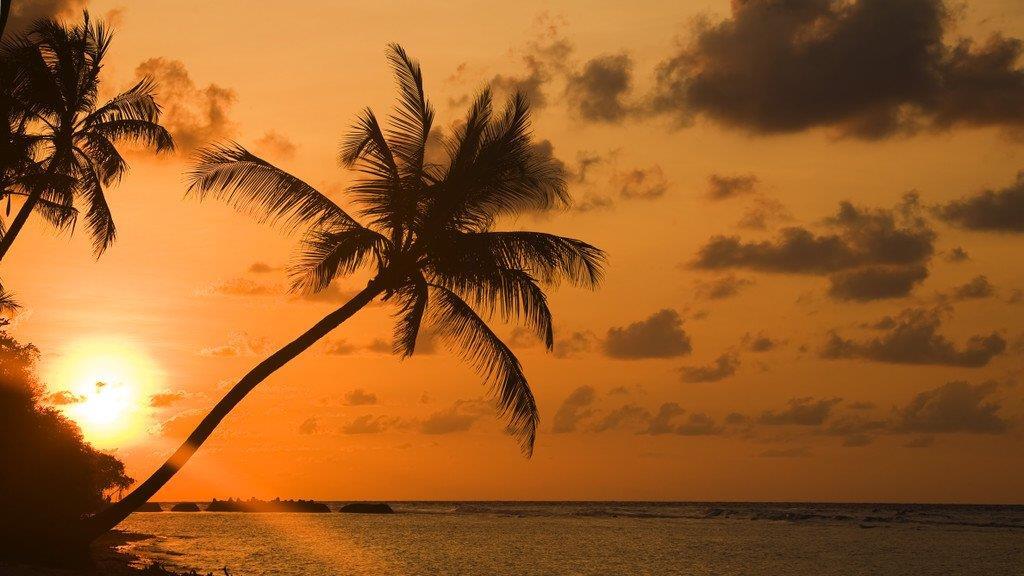 Die besten Schnäppchen in Bildern