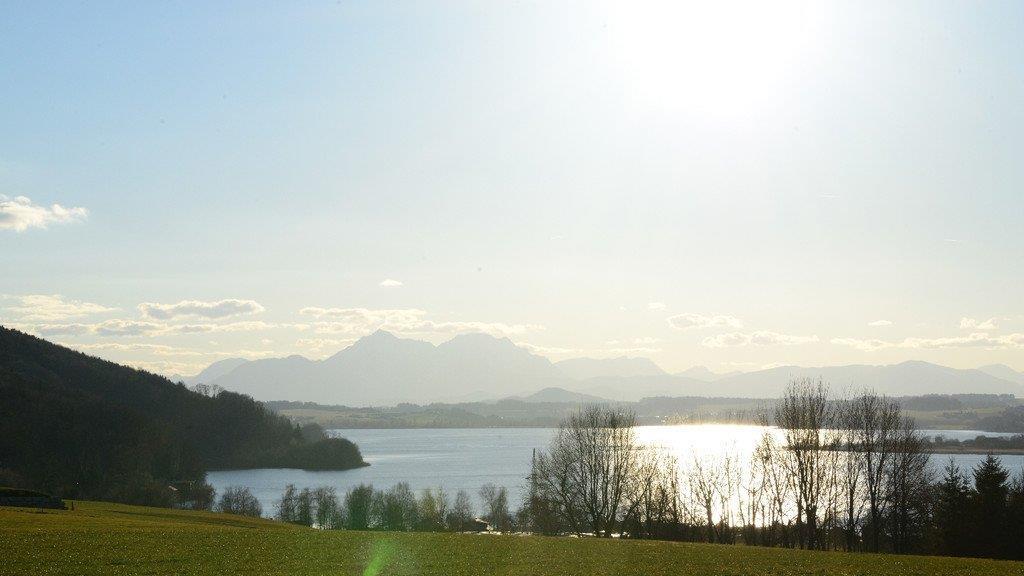 Frühlingserwachen im Flachgau