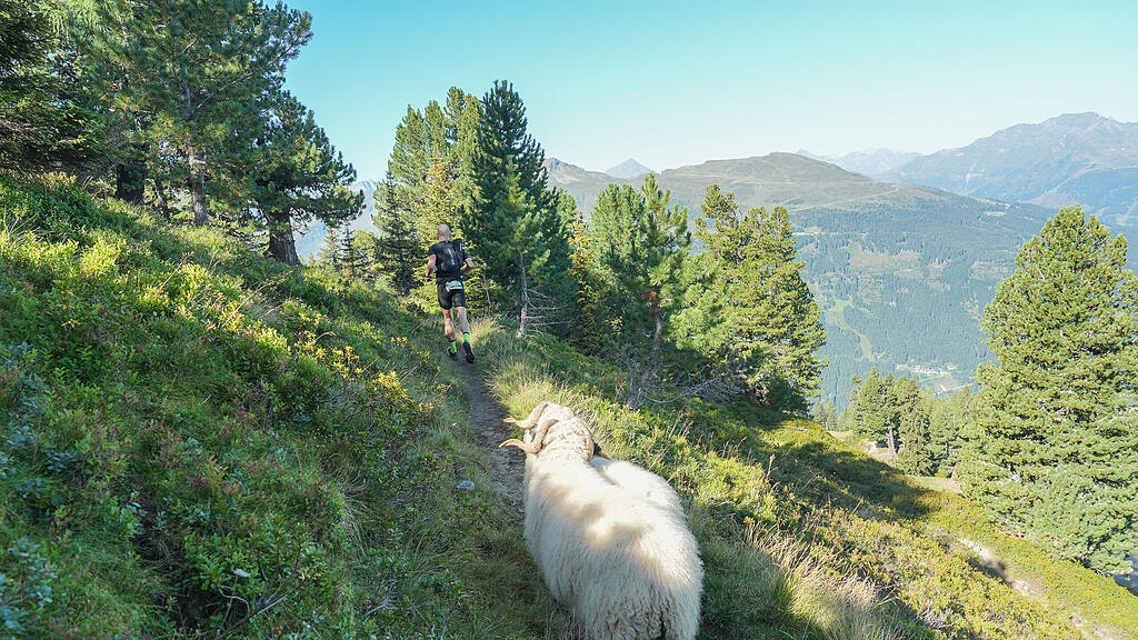 Trailrun, Gastein