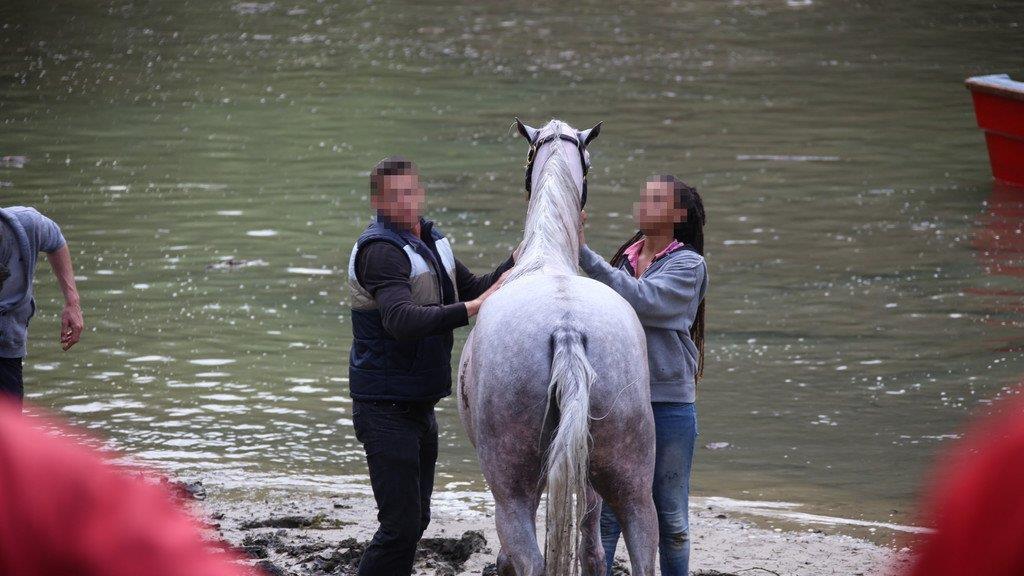 Pferderettung durch die Feuerwehr