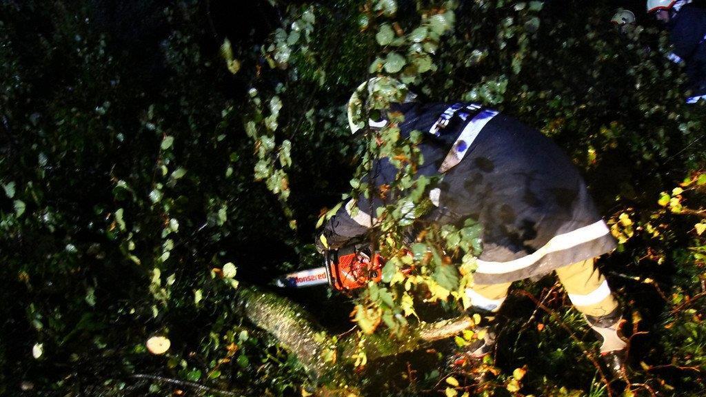 Sturm über Salzburg: Umgestürzter Baum in Anif