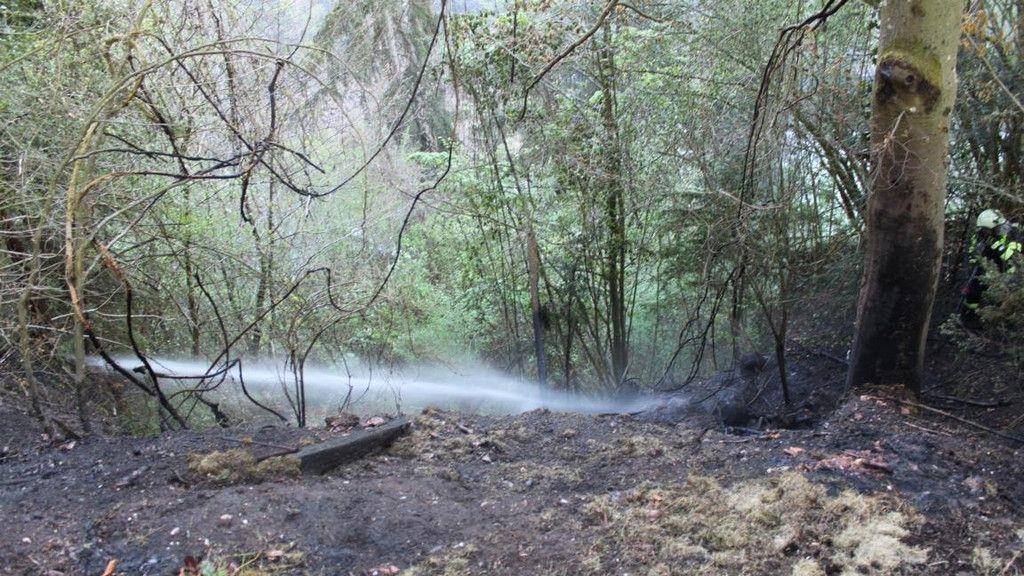 Böschungsbrand in Traunfall