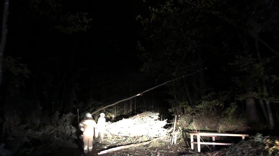 Feuerwehr Thalgau im Einsatz