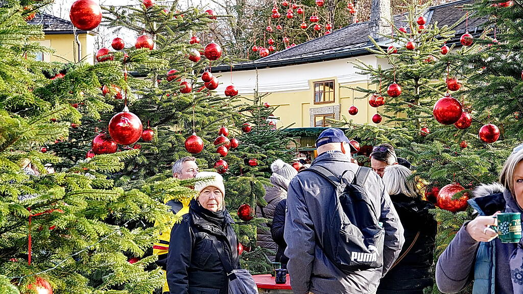 Tag der Krampusse in Hellbrunn