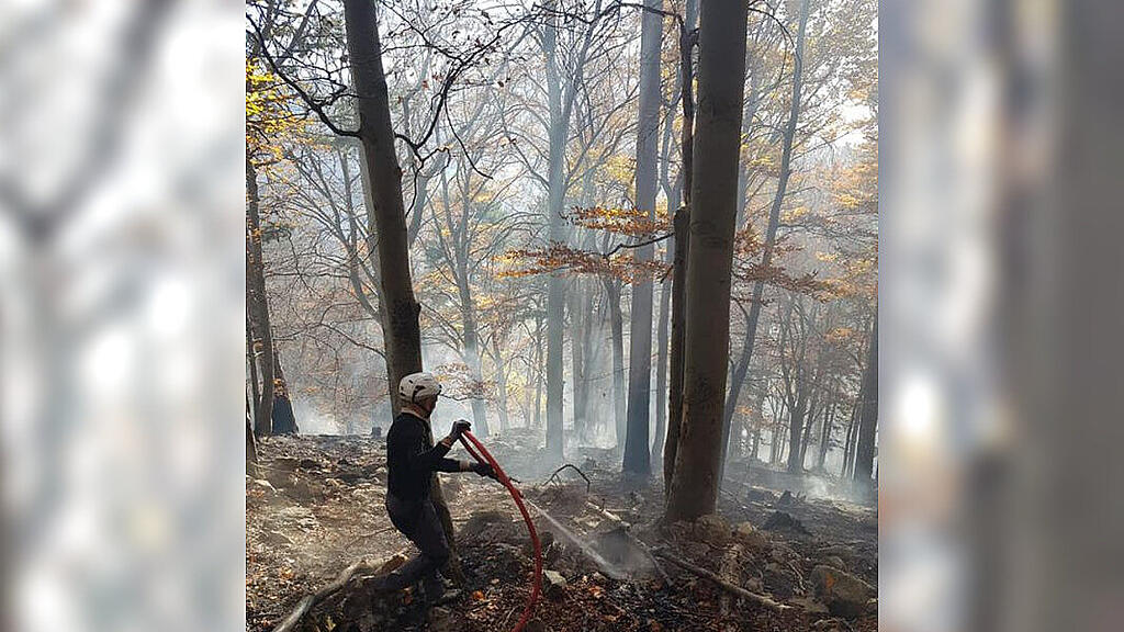 Flughelfer aus Salzburg bei Waldbrand in NÖ