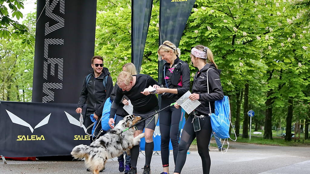 Salzburg Marathon: Salewa-Berglauf auf Gaisberg