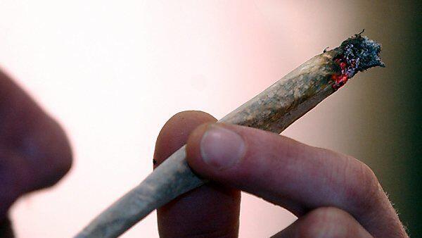 Vor allem Cannabis wurde verkauft