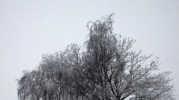 Salzburgs schönste Winterlandschaften II