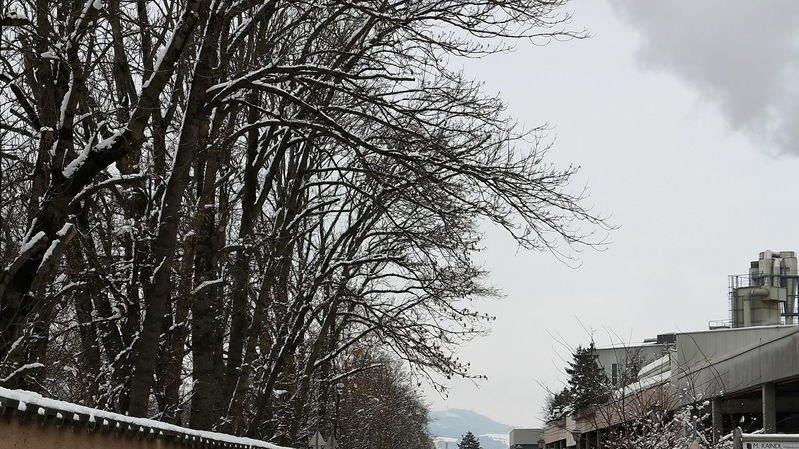 Bilder aus Klessheim