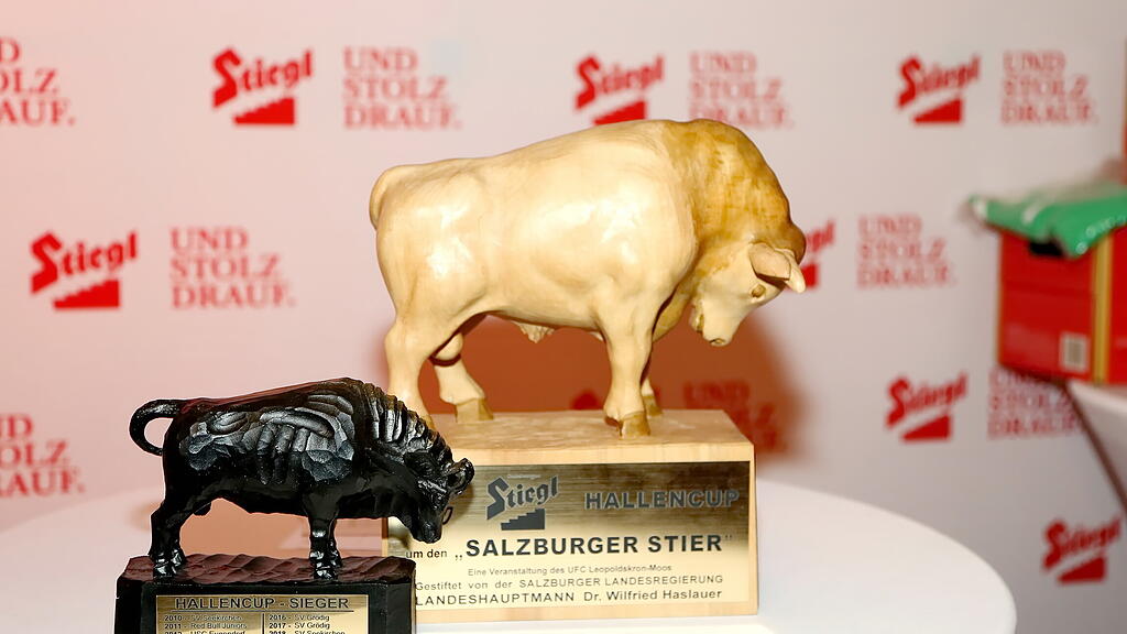 Salzburger Stier 2024 Auslosung