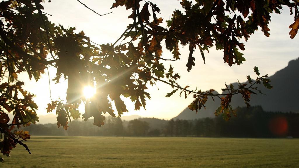 Spaziergang durch den Flachgau