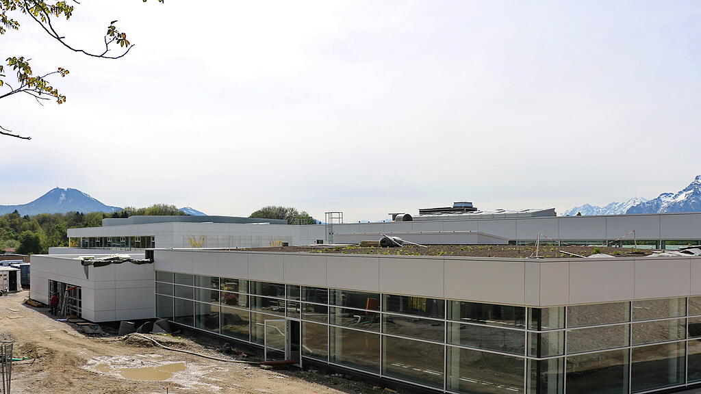 Badylon, Freilassing
