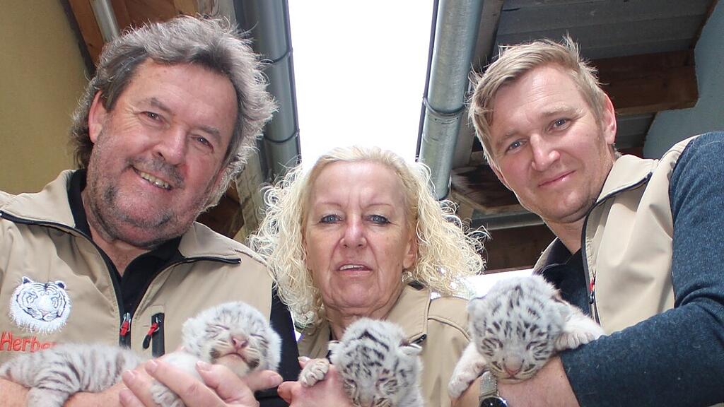 "Hector", "Pascha" und "Zeus" sind kerngesund