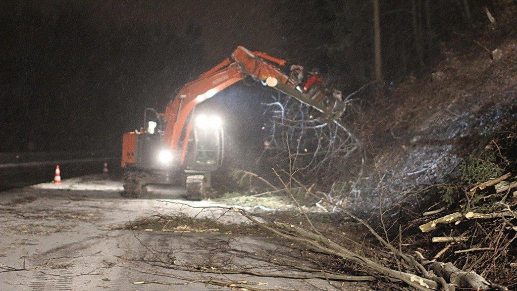 Rodungsarbeiten an der A1