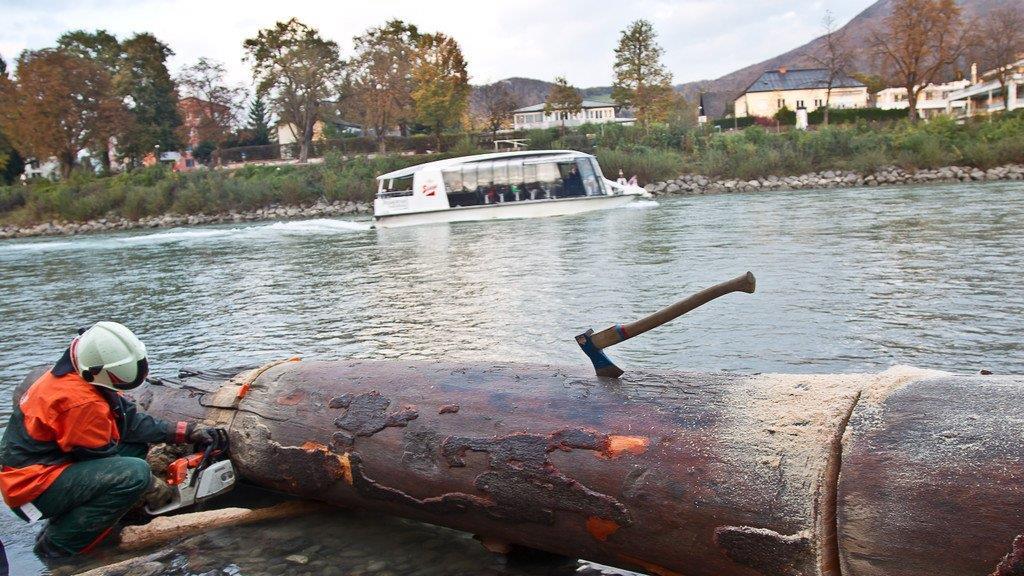 Berufsfeuerwehr barg Riesen-Baumstamm