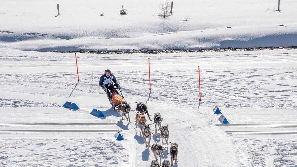 Schlittenhunderennen in Sportgastein