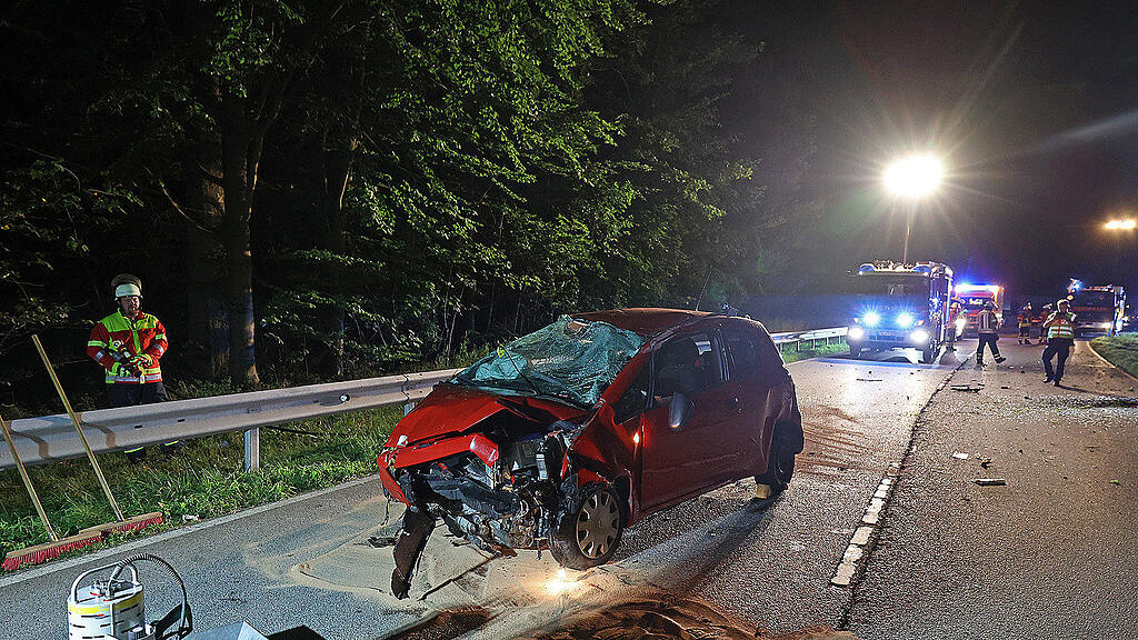Reh_Unfall_Piding
