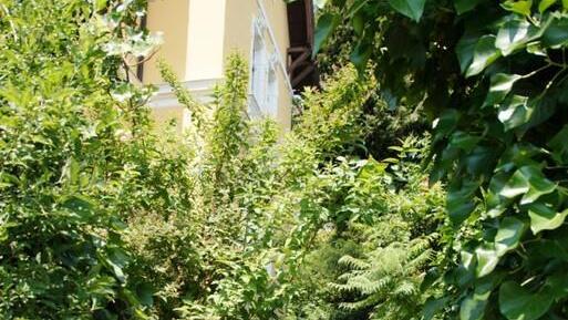 Bilder aus Gmunden