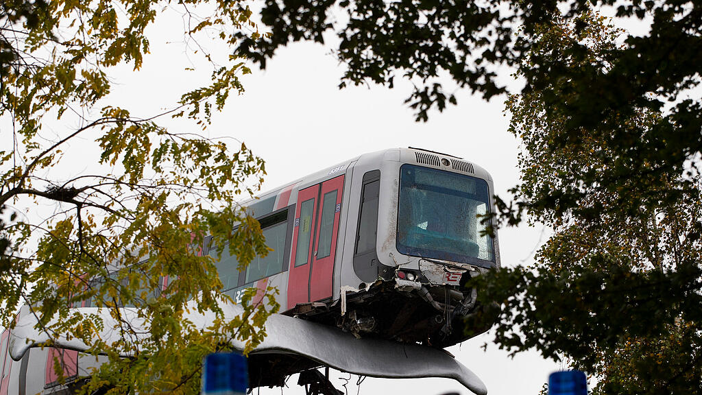 Wal fängt Bahn in Niederlanden