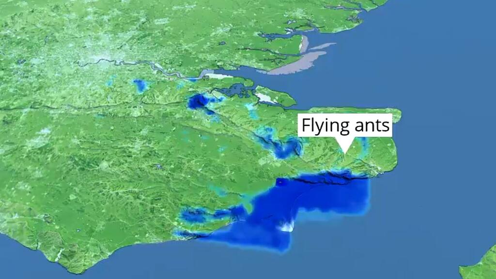 Ameisen, Met office
