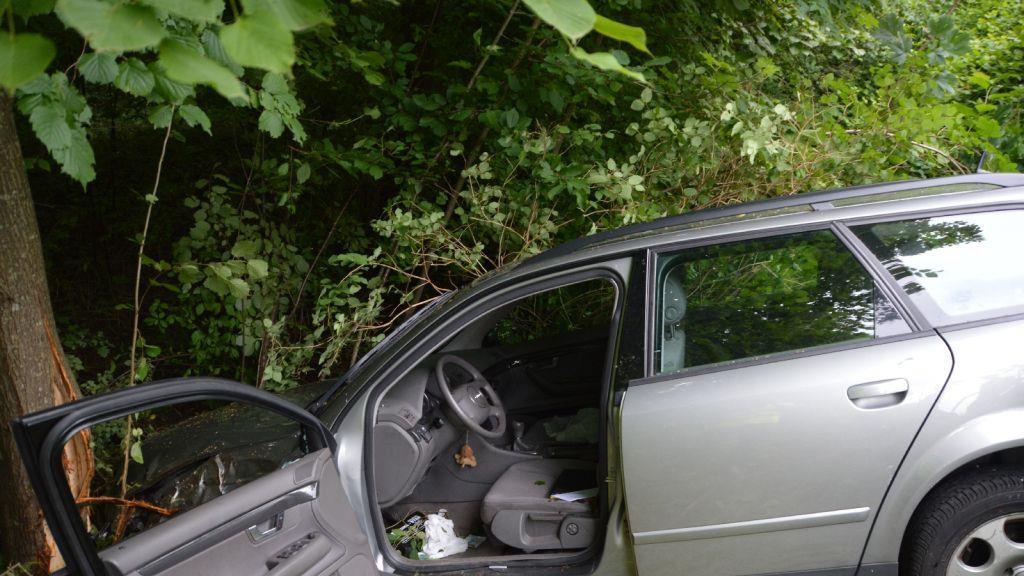 Pinzgauerinnen in Bayern verletzt, I