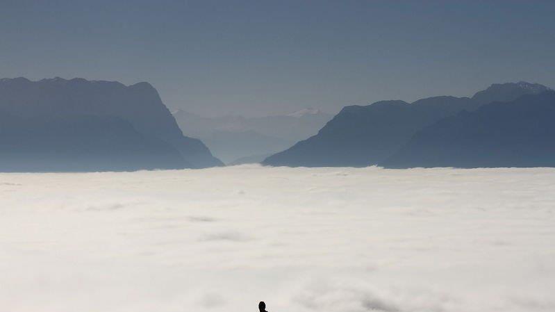 Mehr Bilder vom Gaisberg