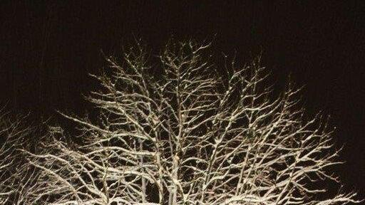 Erster Schnee in Salzburg