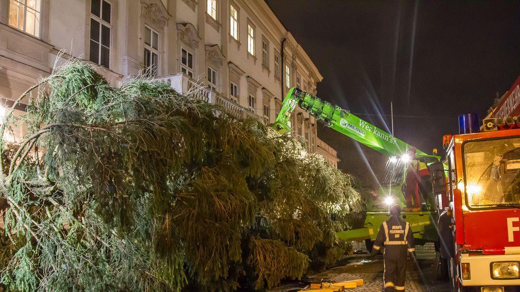 Christbaumaufstellen vor dem Schloss Mirabell