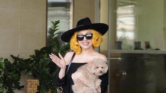 Lady Gaga und Hund: Ankunft in Wien