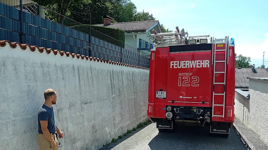 Reh-Rettung Hallwang