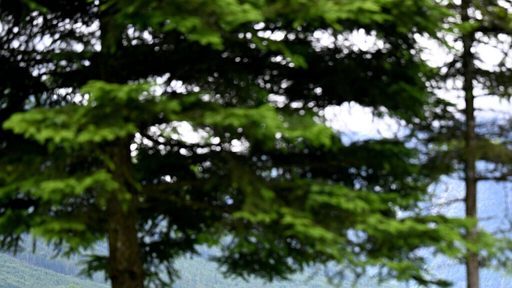 65. NARZISSENFEST IM AUSSEERLAND / FOTOTERMIN DER HOHEITEN