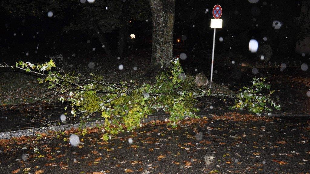 Sturm: Einsätze in Bad Reichenhall