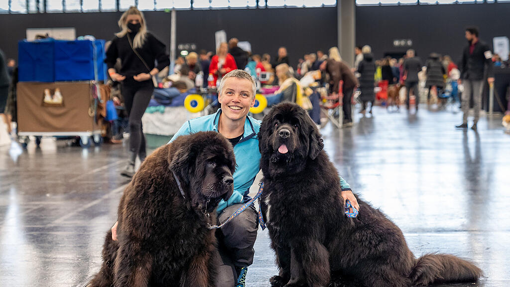 Internationale Hundeausstellung Salzburg 2022