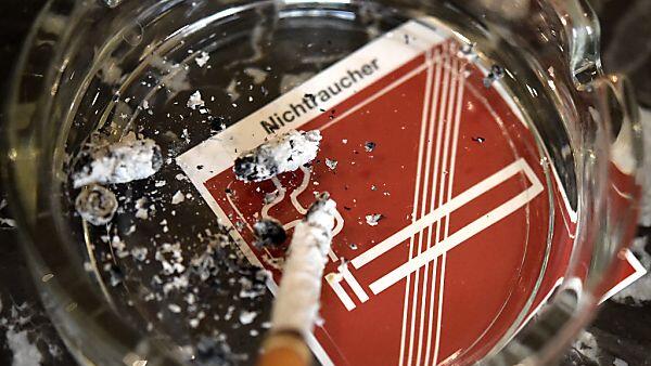 Kritik an von FPÖ gewünschter Aufhebung des Tauchverbots