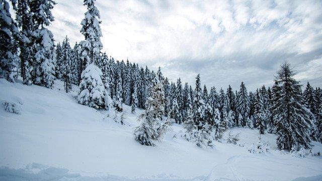 Skifahren in Schladming