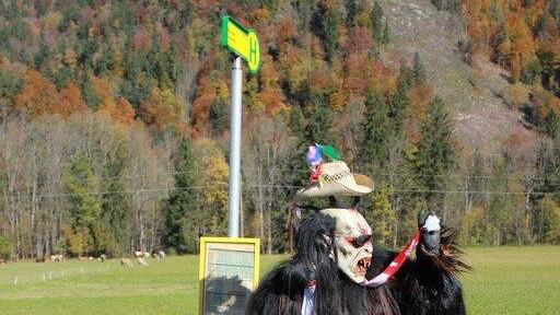 Beste Kramperl-Fotos