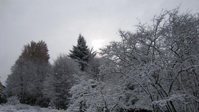 So schön kann der Winter sein