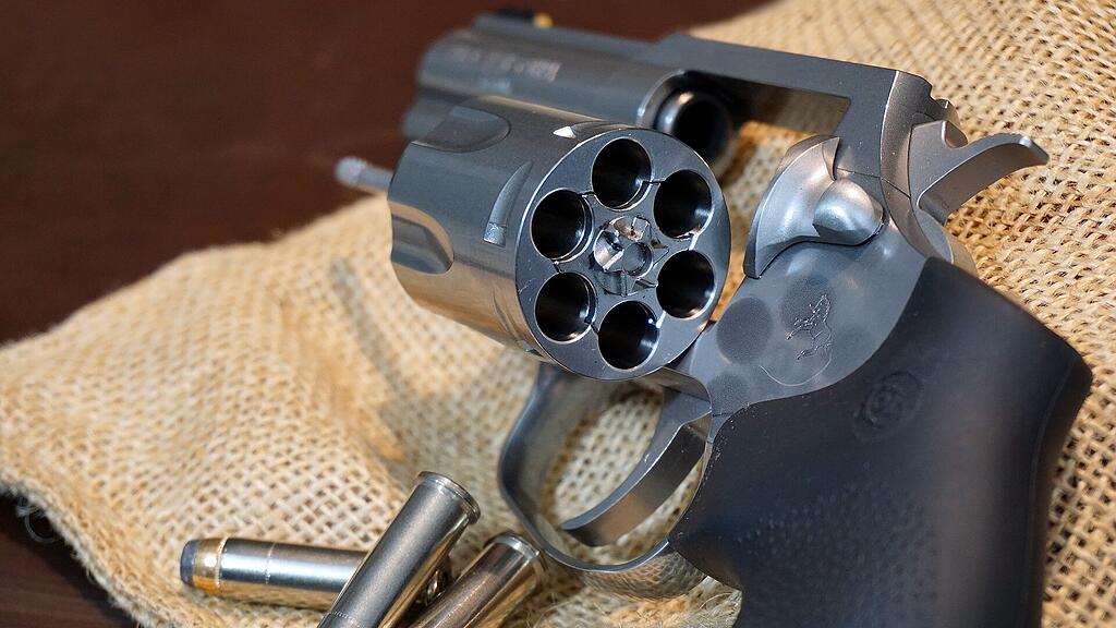 colt-5102471_1920.jpg