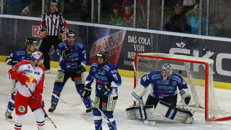 Red Bulls vs. Fehervar
