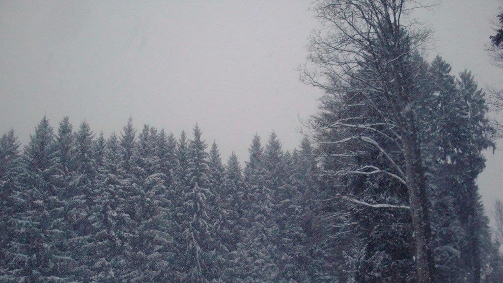 Winterimpressionen aus Ebenau
