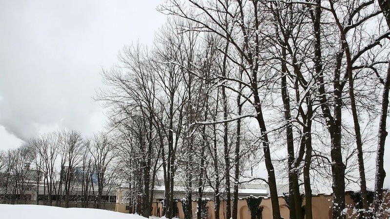 Bilder aus Klessheim