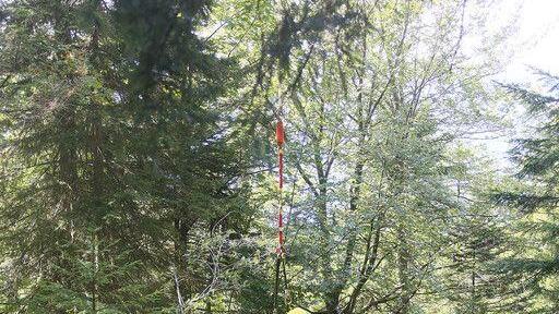 Wanderin stürzt auf Reiter Alpe in Bachbett