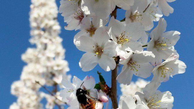 Wie üblich im Frühling, lagen die Extremwerte weit auseinander.