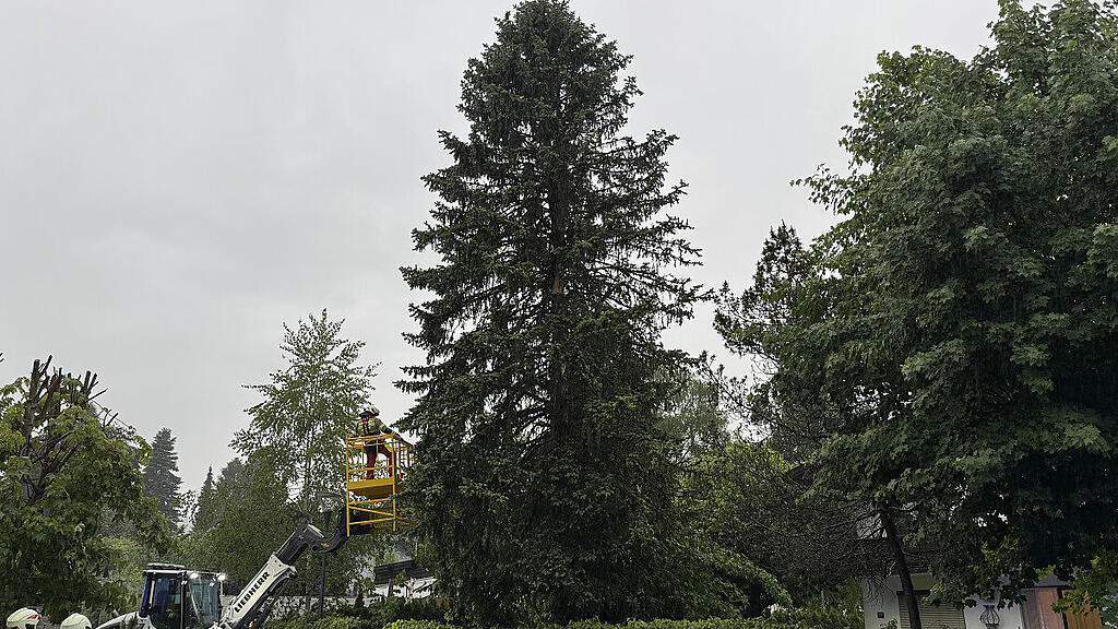 Baumfällung Kaprun