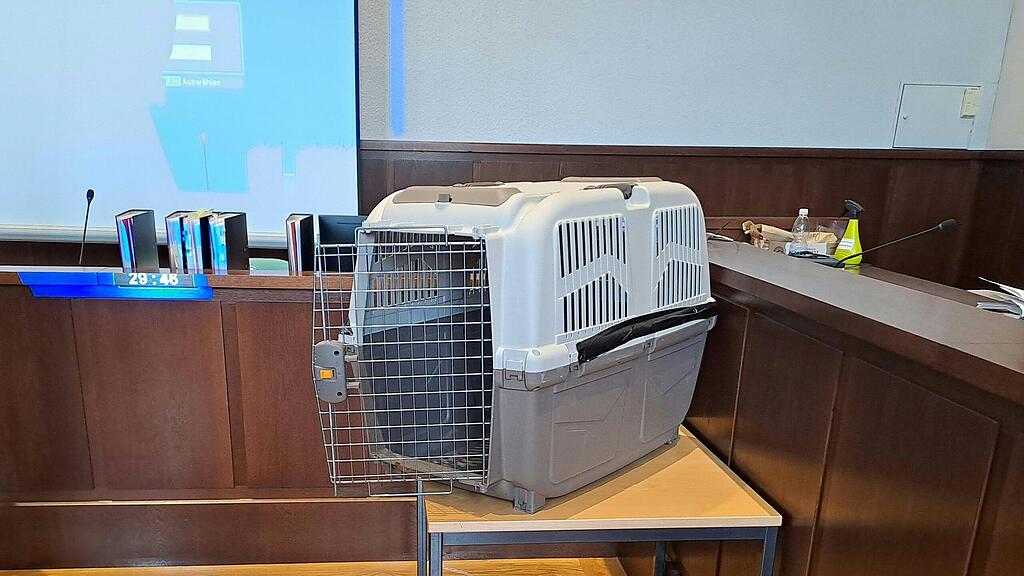 Hundebox Niederösterreich