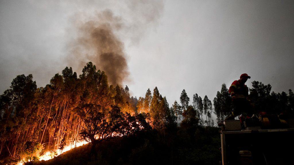 Waldbrand in Portugal