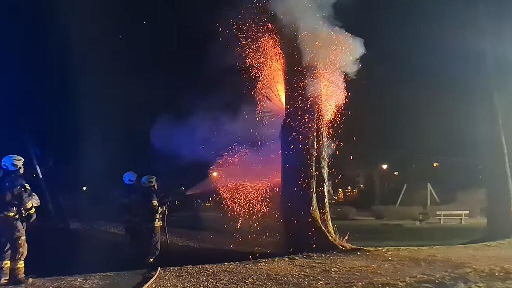 Brennender Baum