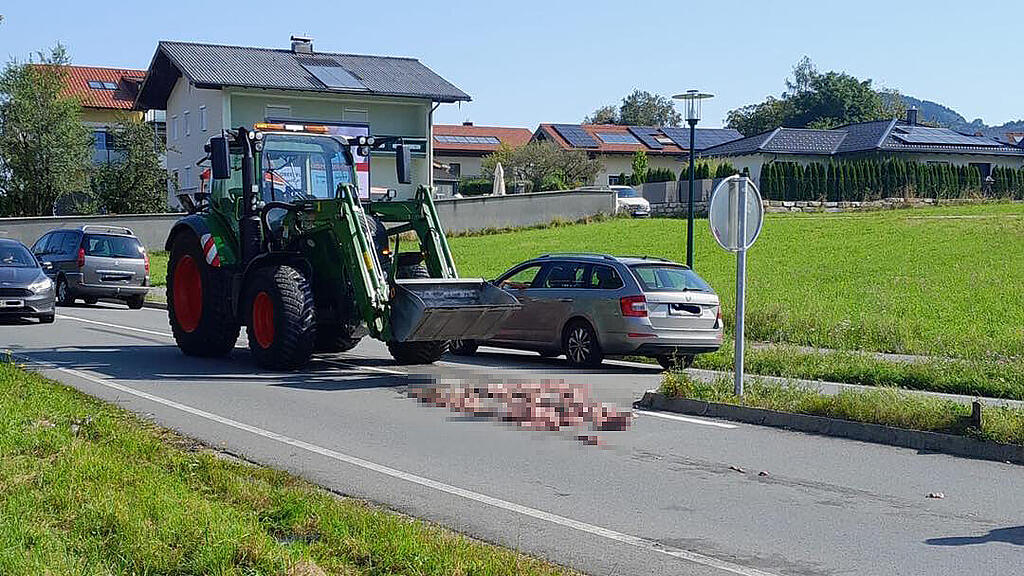 Innereien Obertrum