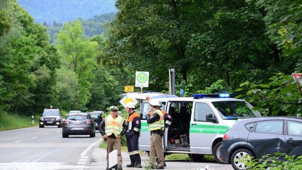 Pinzgauerinnen in Bayern verletzt, I
